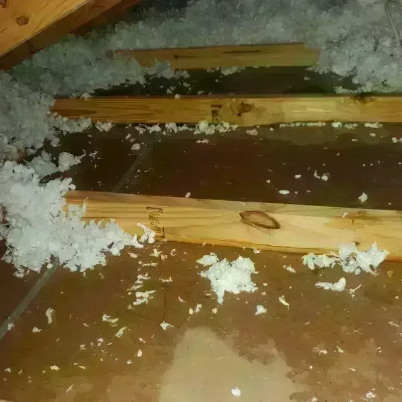 Attic Water Damage in Tool, TX