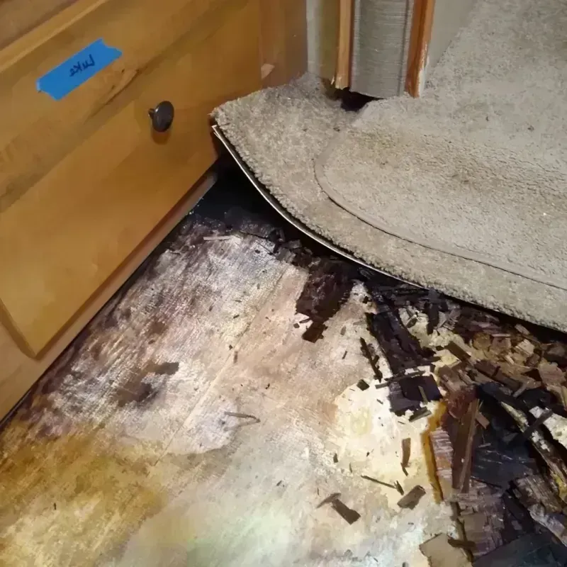 Wood Floor Water Damage in Tool, TX